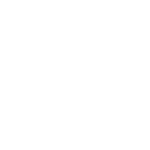 https://www.brasseriemacferly.ca/